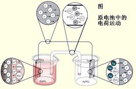 宅男视频APP网站廠家