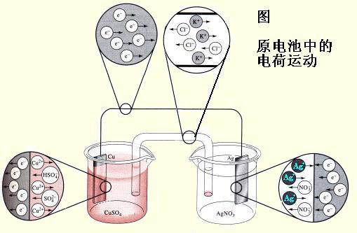 電化學宅男导航神器