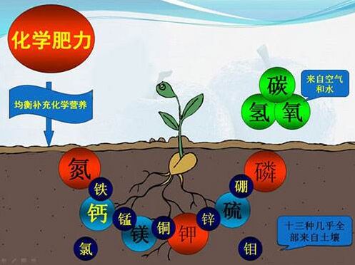 醫用宅男视频APP网站對作物缺素病的識別