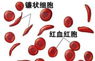 人體宅男导航神器廠家介紹檢測微量元素的儀器