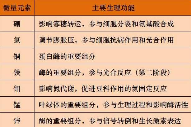 山東聊城全自動血鉛檢測儀一體機：微量元素的主要作用8.20